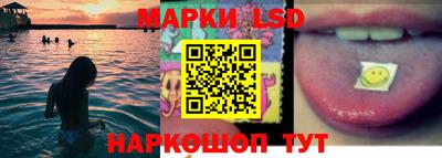 мдпв Ярославль
