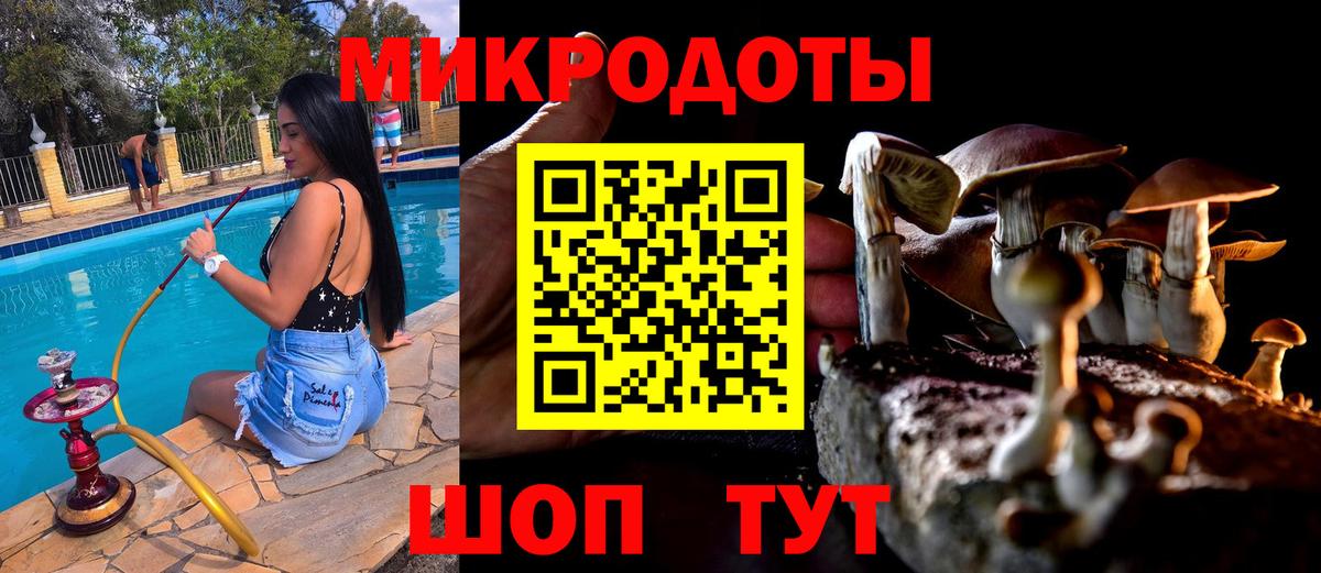 Галлюциногенные грибы GOLDEN TEACHER Всеволожск