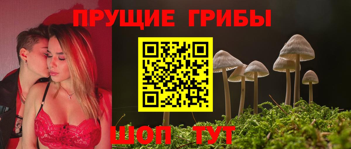 Галлюциногенные грибы Psilocybine cubensis  наркота  Вход с VPN  Всеволожск  Псилоцибиновые грибы мицелий 